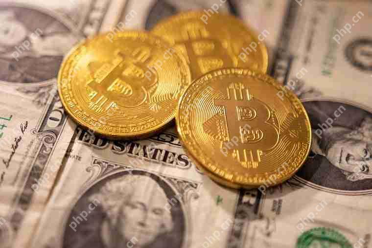 加密货币投资入门指南：什么是币本位合约与U本位合约？怎么用？